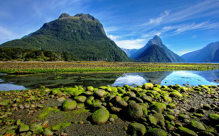 New Zealand Fiordland National Park Mountains With Rainforest Valley With Stones And Moss Blue Hd Wallpaper
