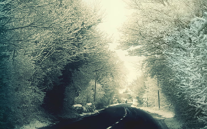 winter, road, ice, snow, trees, frost