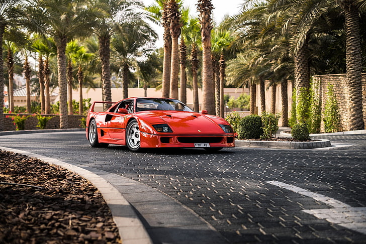red coupe, road, palm trees, supercar, Ferrari F40, sports car