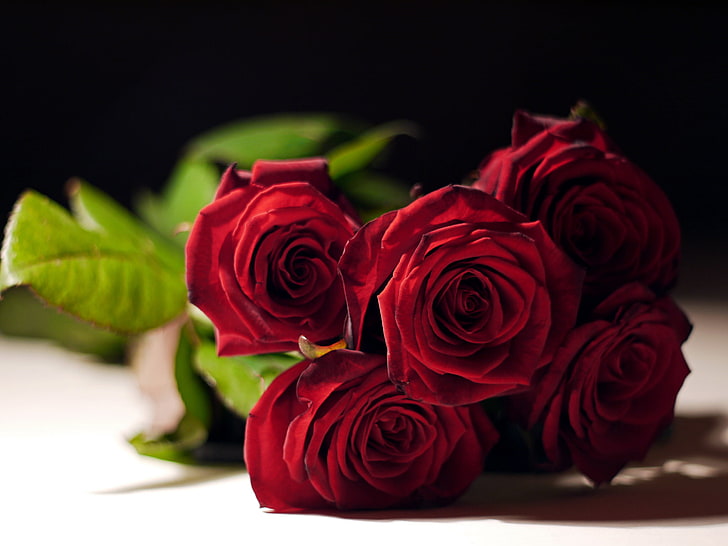 HD wallpaper: five red rose flowers, roses, bouquet, buds, rose - flower,  flowering plant | Wallpaper Flare
