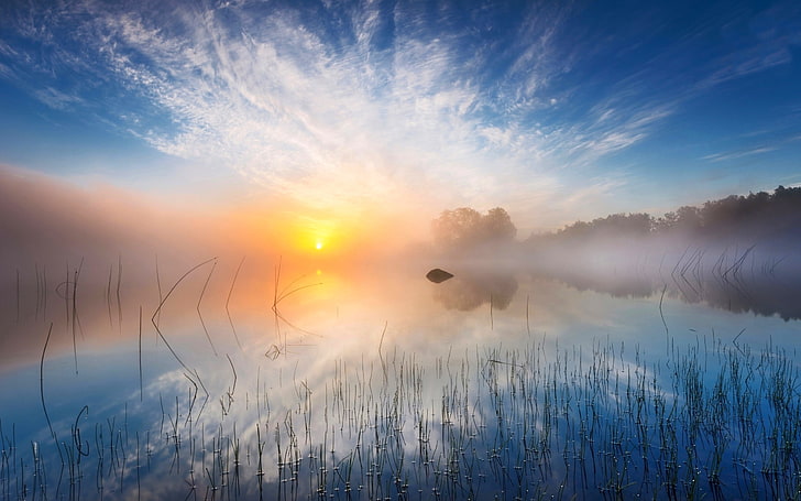 nature, landscape, sunlight, morning, lake, mist, Sweden, water, HD wallpaper