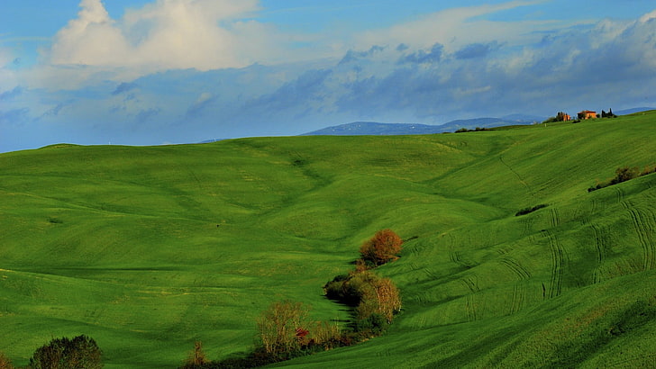 green grass field painting, nature, landscape, clouds, hills, HD wallpaper