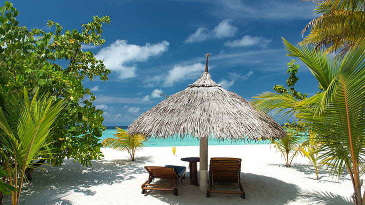 Tropical beach, sand, palm trees, sea, vacation, summer, HD wallpaper