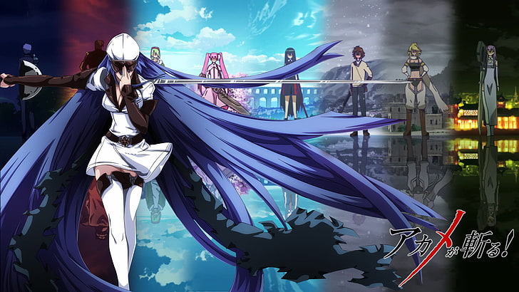 blue haired female anime character, Akame ga Kill!, Akame (Akame Ga Kill!)