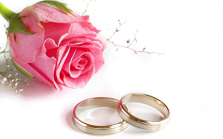 two gold-colored rings, rose, wedding, love, romance, pink Color, HD wallpaper