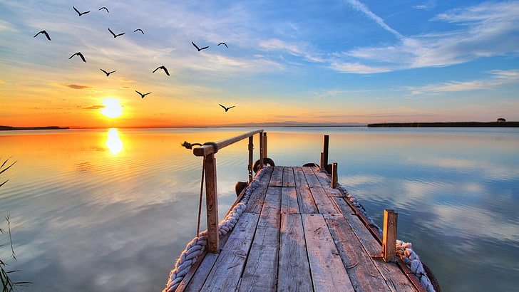 HD wallpaper: water, sky, horizon, sunrise, pier, calm, lake, birds,  morning | Wallpaper Flare