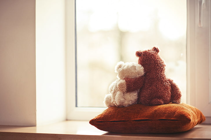 brown and white bear plush toys, love, window, pair, pillow, friends, HD wallpaper