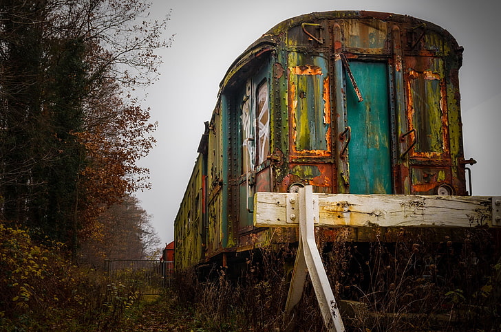 train, wreck, vehicle, abandoned, no people, plant, tree, nature