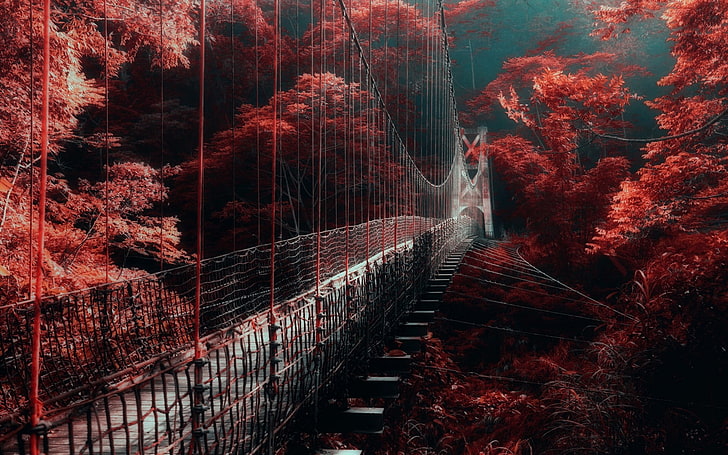 nature, landscape, red, forest, bridge, mist, trees, walkway, HD wallpaper