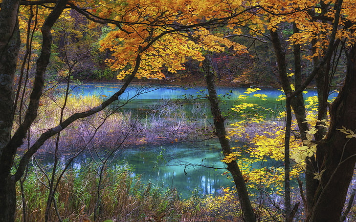 Blue Lake Goshikinuma Fukushima Japan Autumn Scenery Landscape Nature Ultra Hd Wallpapers For Desktop Mobile Phones And Laptop 3840×2400, HD wallpaper