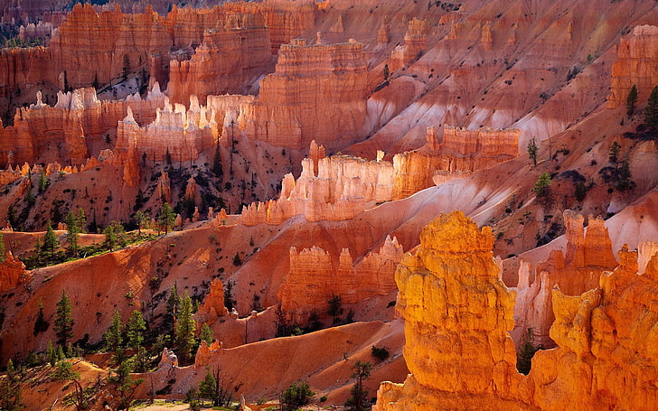 brown rocky mountains, canyons, desert, trees, nature, bryce Canyon