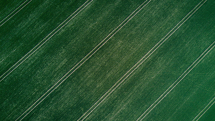 photography, grass, field, aerial view, landscape, symmetry, HD wallpaper