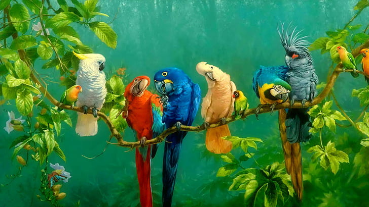 Parrot Colorful Birds On Branch Red Yellow Blue White Macaw Parrot Wallpaper Hd 1920×1080