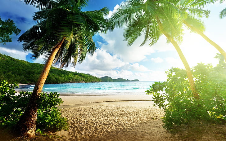 Beach landscape, island, sea, palm trees, sky, clouds