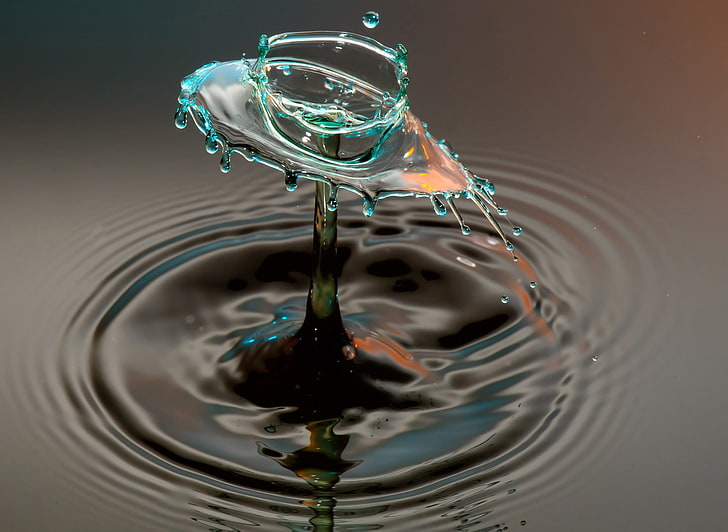 body of water illustration, water drops, macro, motion, rippled, HD wallpaper