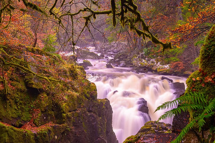 autumn, branches, river, stones, waterfall, moss, Scotland