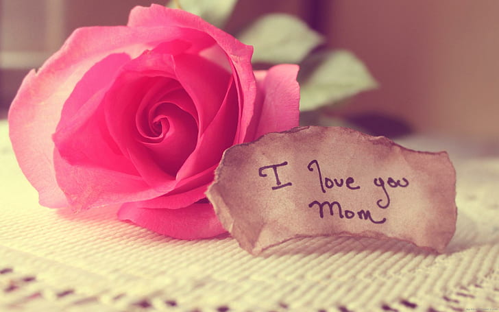I Love you mom, pink rose and i love you mom photo, holidays, HD wallpaper