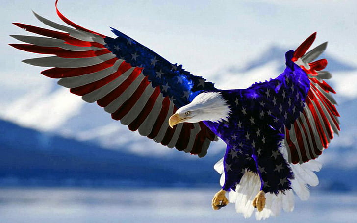 Bald Eagle American Flag Hd Wallpaper For Mobile Phones Tablet And Pc 2560×1600