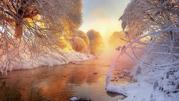winter, nature, snow, water, morning, tree, sky, bank, sunlight, HD wallpaper