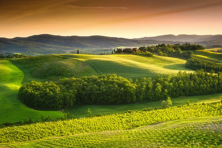 Italy, Tuscany, countryside, landscape, Nature, trees, green field, HD wallpaper
