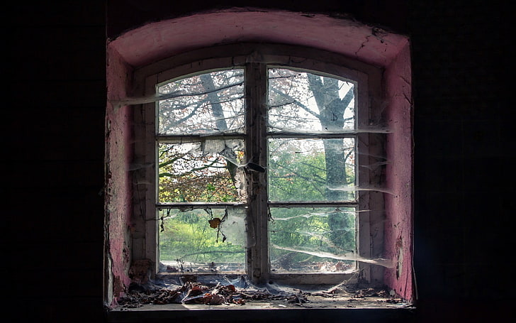 ruin, window, glass - material, transparent, indoors, abandoned