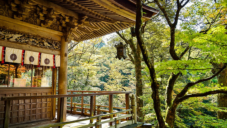plant, tree, ryokan, home, japan, house, wood, real estate