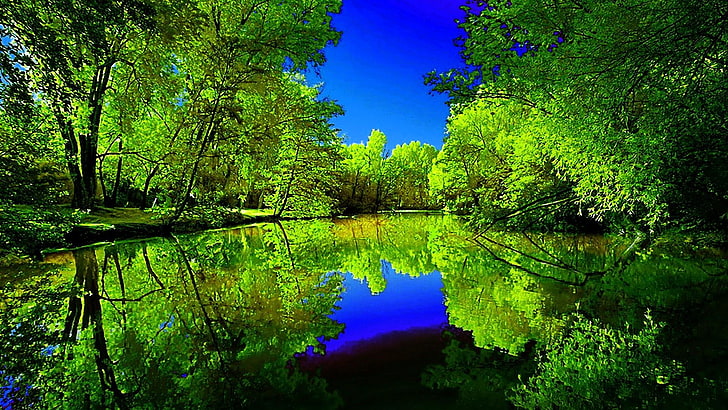 summer, blue sky, reflection, reflected, lake, trees, bushes, HD wallpaper