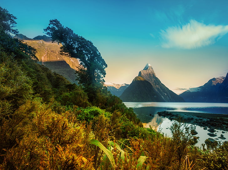 Hiking Around Milford, green leafed grass, Oceania, New Zealand, HD wallpaper