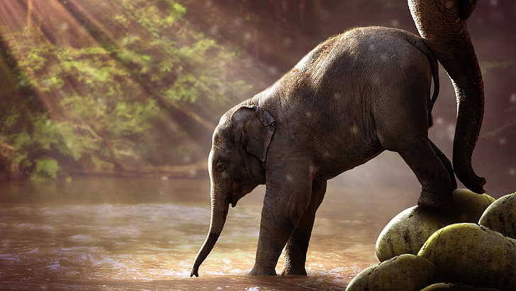 Free AI Image | Large African elephant walking through the mud generated by  AI