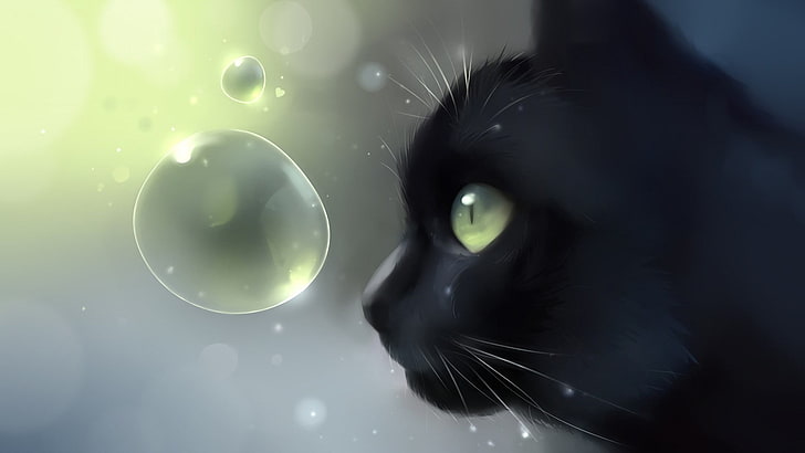 black cat illustration, closeup photo of black cap near clear bubble, HD wallpaper