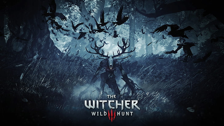 The Witcher Wild Hunt HD wallpaper, The Witcher 3: Wild Hunt, HD wallpaper