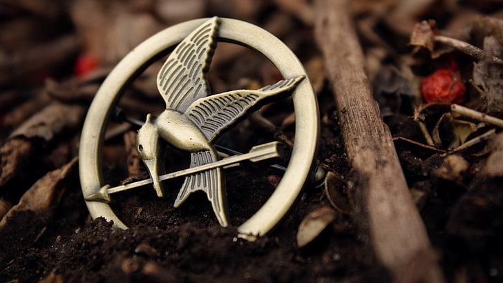 badge, The Hunger Games, dirt, close-up, nature, food, plant, HD wallpaper
