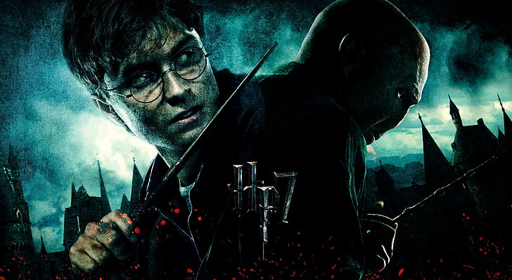 HD wallpaper: Harry Potter 7, Harry Potter and Voldemort wallpaper, Movies  | Wallpaper Flare