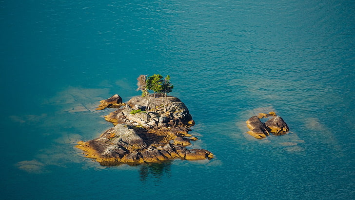 brown island, nature, landscape, rock, water, trees, sea, aerial view