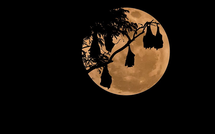 silhouette of tree at full moon, bats, night, simple background
