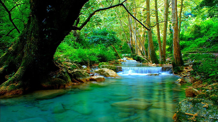 Forest river with cascades turquoise water rocks-trees Desktop Wallpaper HD for mobile phones and laptops 5120×2880, HD wallpaper