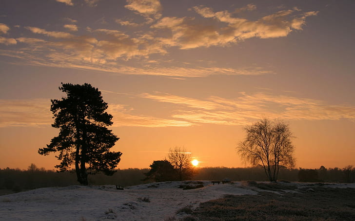 landscape, sunset, snow, trees, winter, HD wallpaper