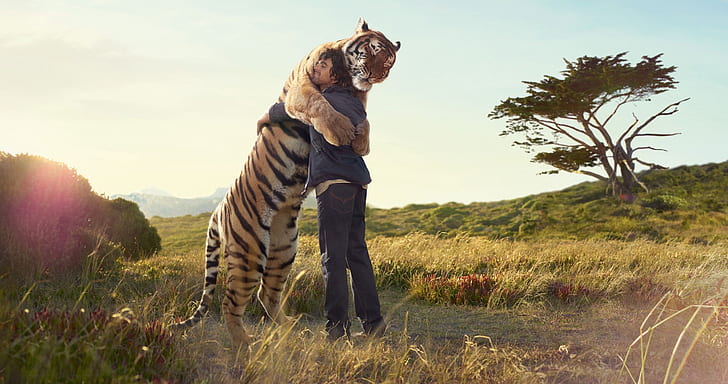 HD wallpaper: nature love animals tigers fields hug wild 2842x1500 Nature  Fields HD Art | Wallpaper Flare