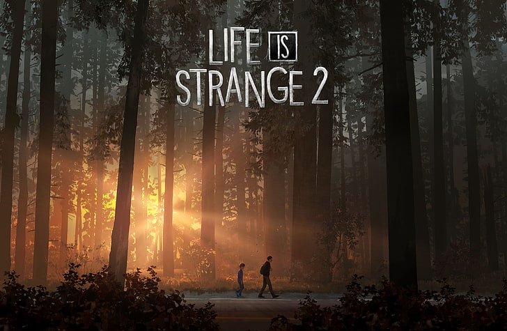 Life Is Strange 2, PlayStation 4, Xbox One, PC games, 4K, 8K, HD wallpaper