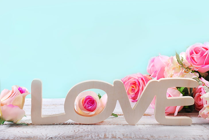love, heart, pastel, flowers, plant, flowering plant, pink color, HD wallpaper
