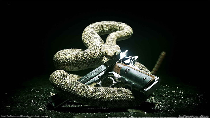 Hitman: Absolution, PC gaming, gun, animal themes, reptile, HD wallpaper