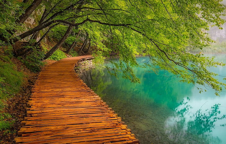 lake, path, Croatia, water, nature, Plitvice National Park