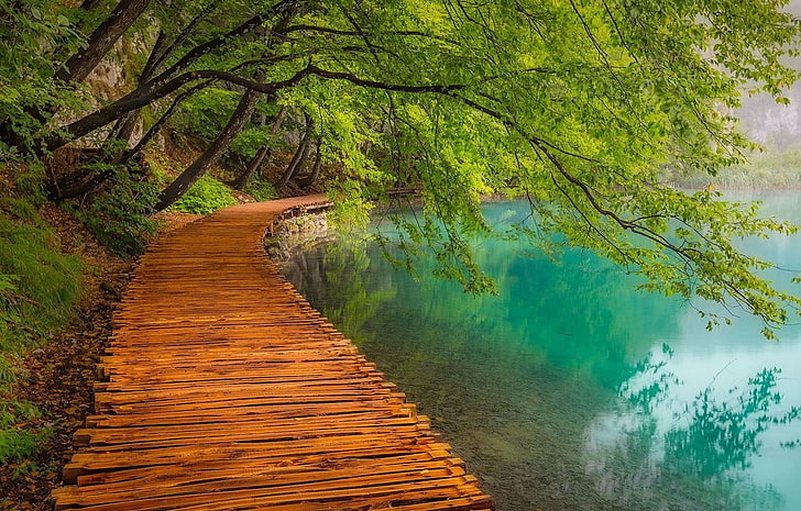 wooden footbridge near body of water, landscape, photography