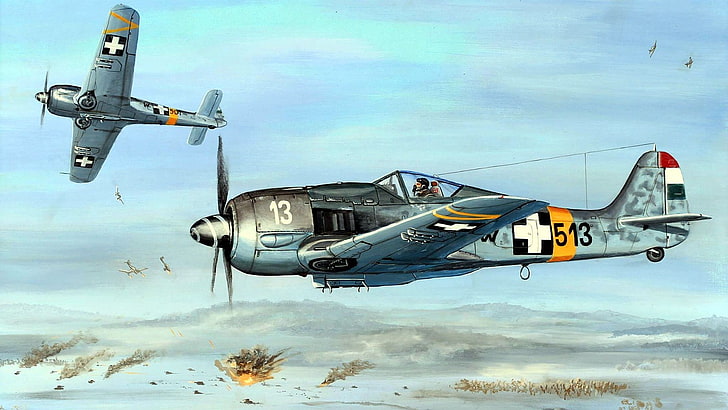 World War II, fw 190, Focke-Wulf, Luftwaffe, Germany, military, HD wallpaper