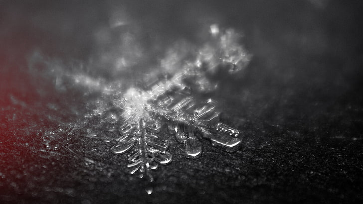 clear snowflakes, closeup photo of snowflake, macro, snow flakes, HD wallpaper