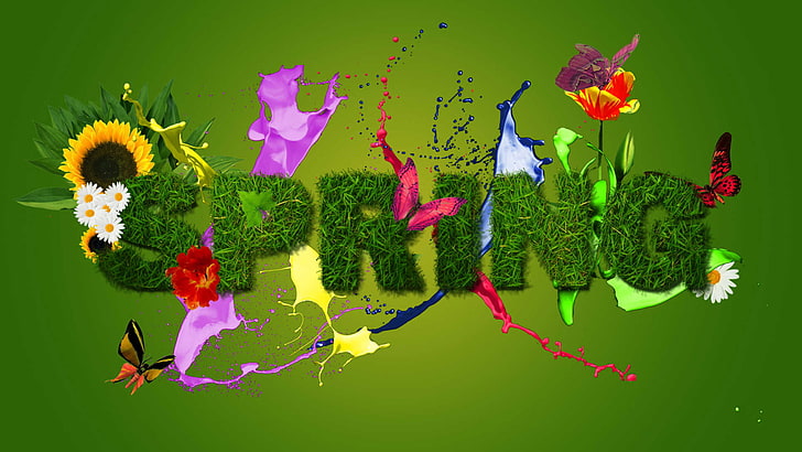 flower, plant, leaf, decoration, spring, season, design, summer, HD wallpaper