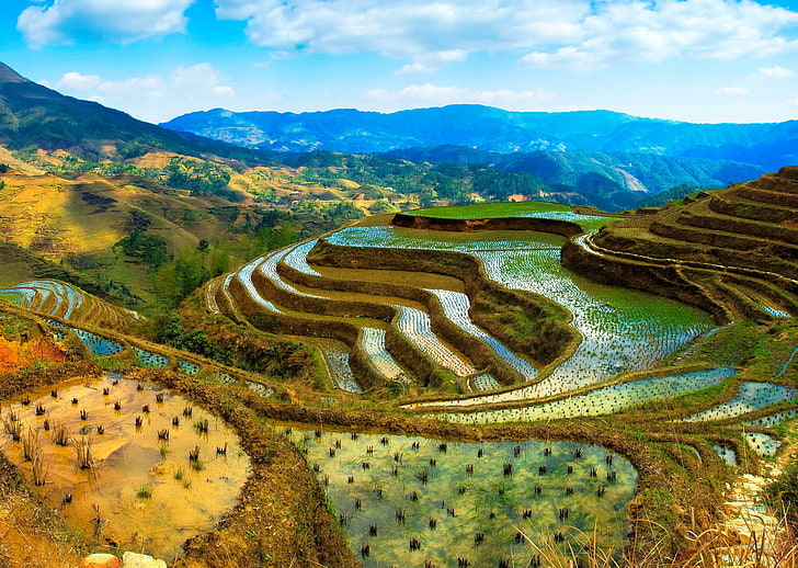 green rice terraces, the sky, water, clouds, mountains, China