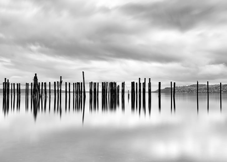 photo of wooden post on sea, Unify, black and white, long exposure