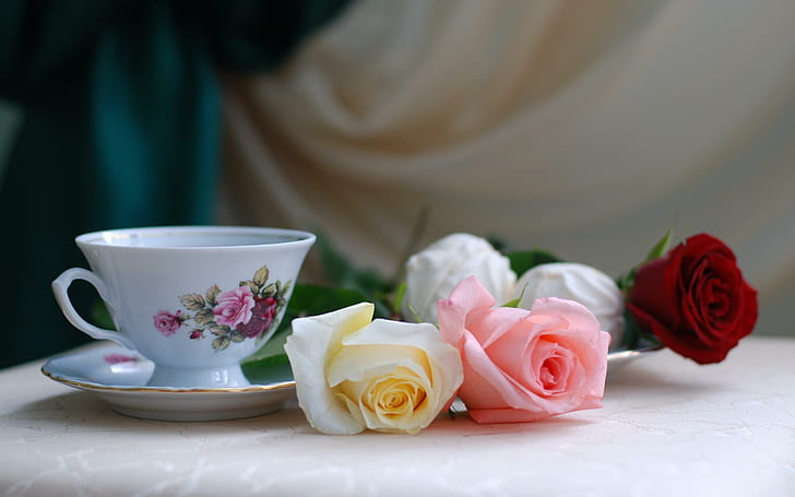 Still Life With Tea Roses, nature, cute, beautiful, flowers, breakfast, HD wallpaper