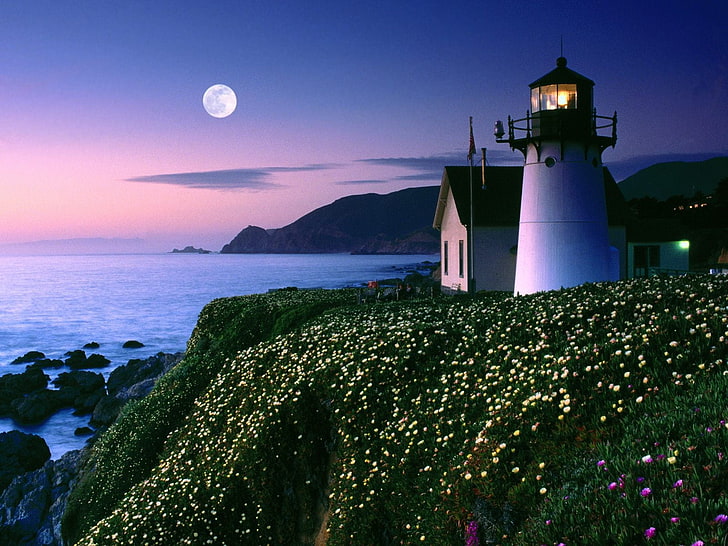 white lighthouse, coast, sea, Moon, flowers, dusk, water, sky, HD wallpaper